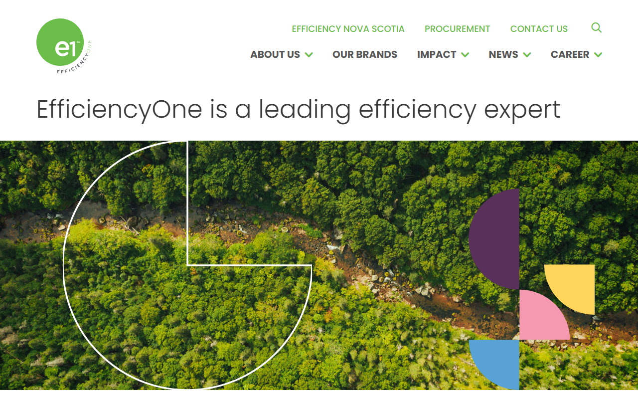EfficiencyOne website